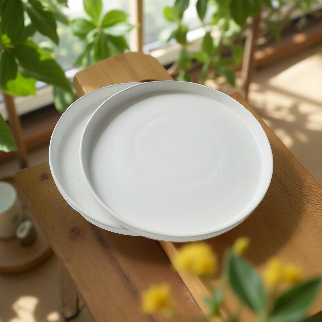 Two white plates on a wooden table with plants in the background