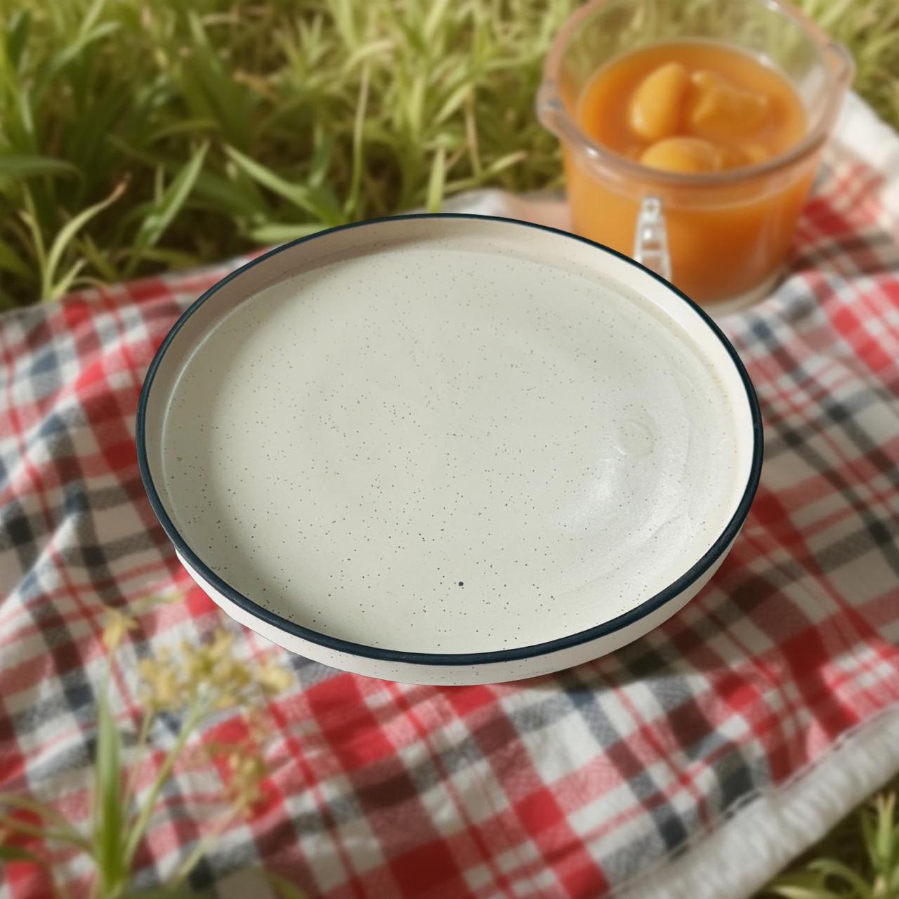 Japandi Ceramic Flat Plates – Set of 2 Minimal Zen