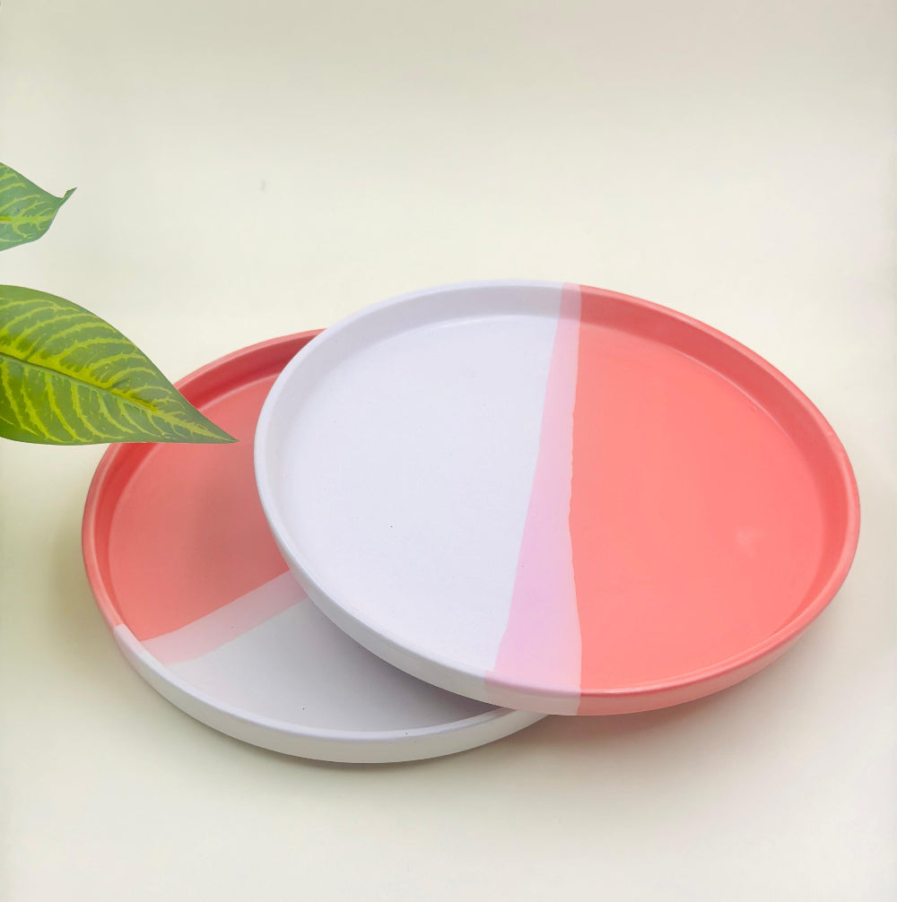 Matt Finish Flat Plates Ceramic Dinner Plates Set of 2