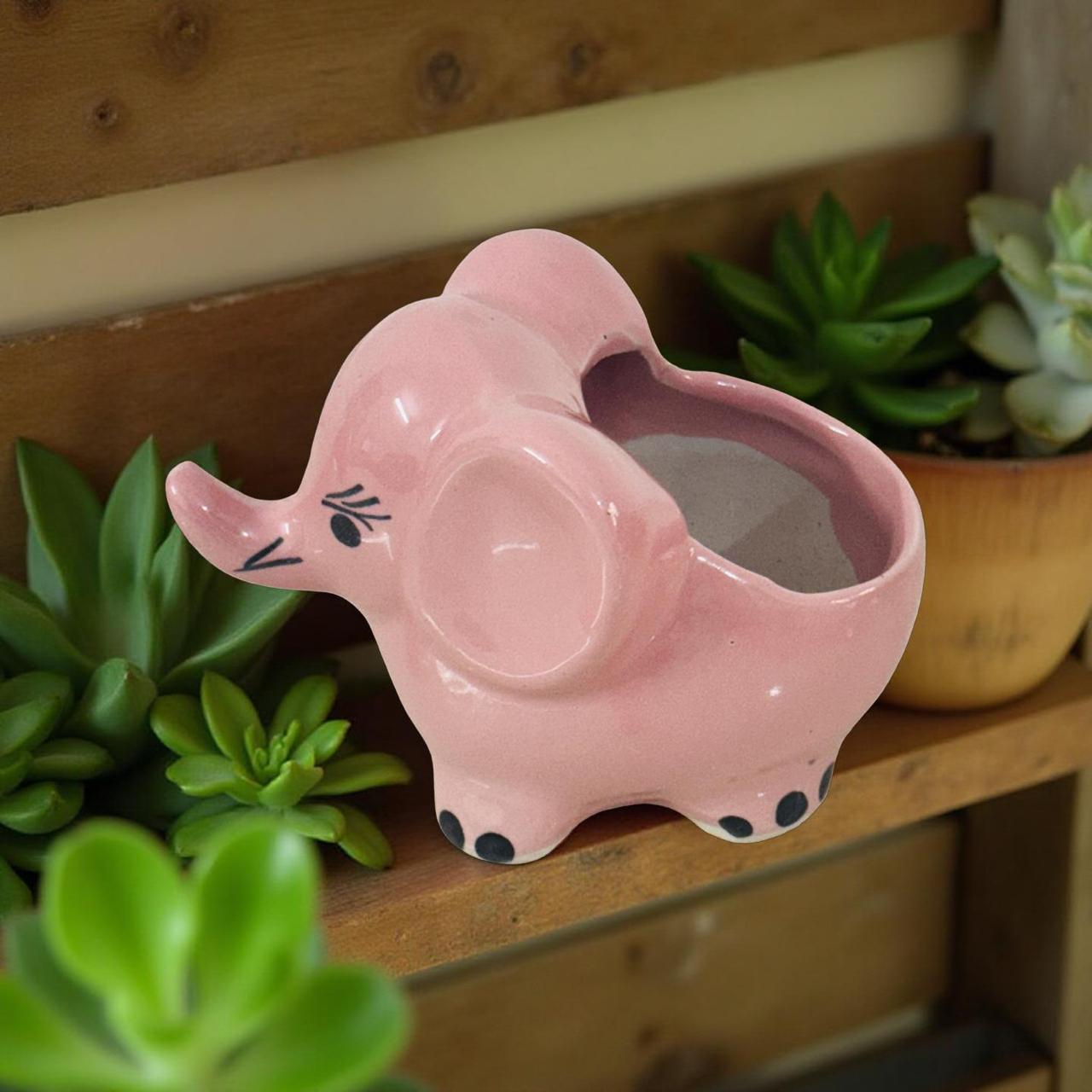 Cute small elephant-shaped ceramic planter with space for tiny succulents or cacti.