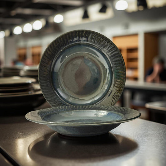 Two ceramic plates stacked on a metallic surface with a blurred indoor setting in the background.