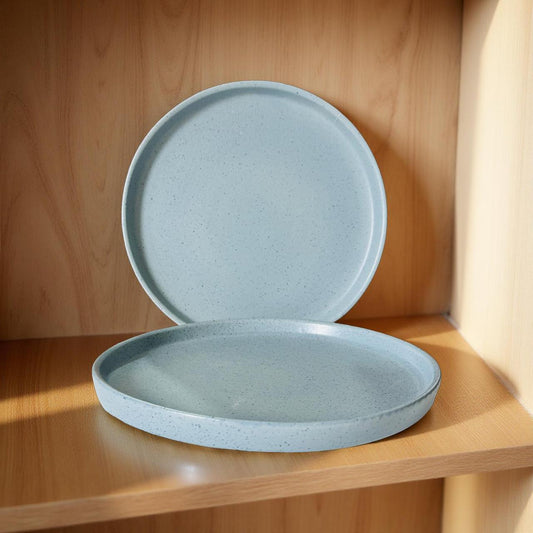 Two blue ceramic plates on a wooden shelf