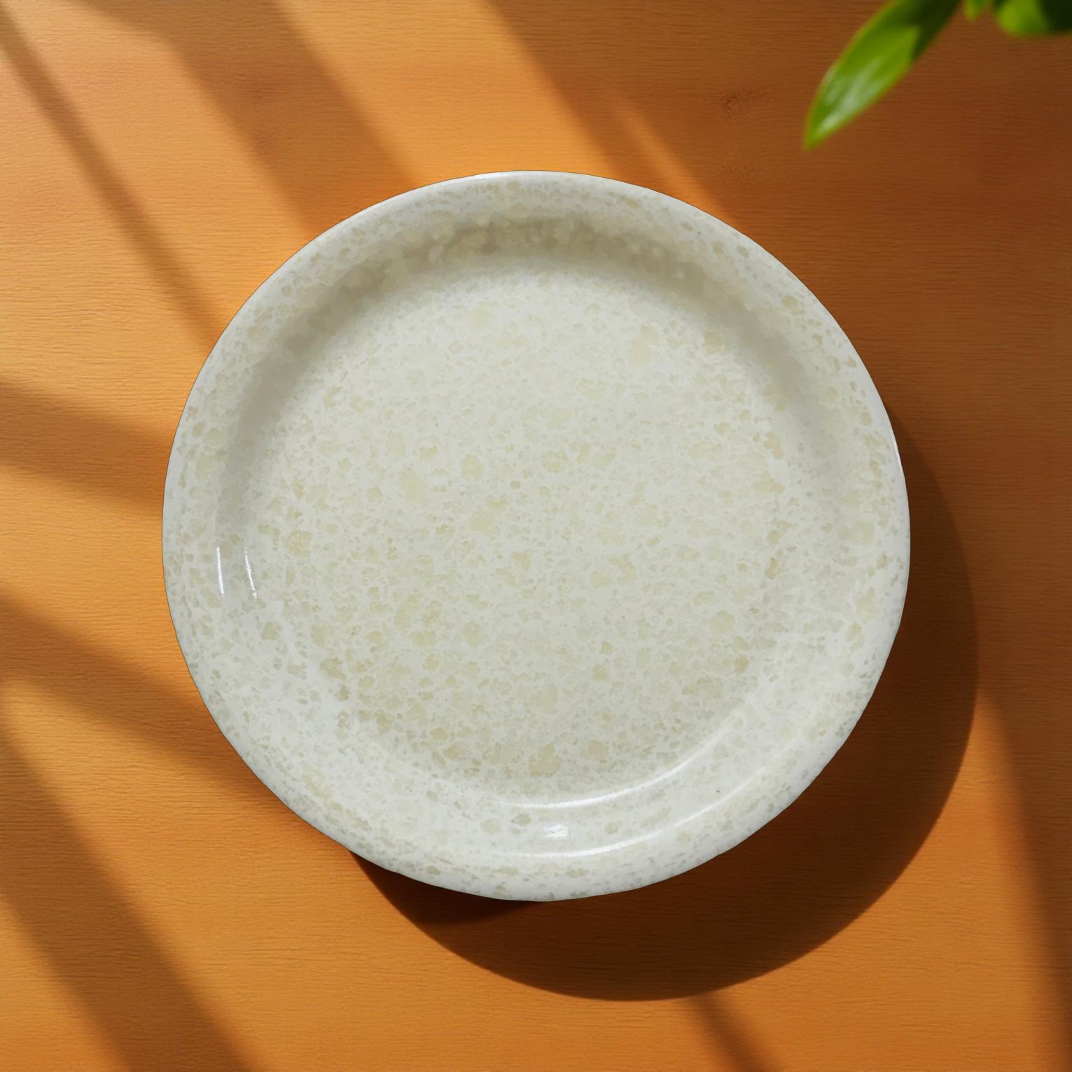 White melamine plate on a brown surface with a plant in the corner