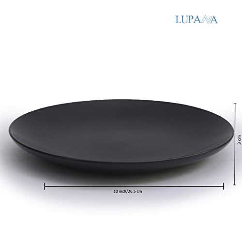 Black Matte Ceramic Dinner Plates